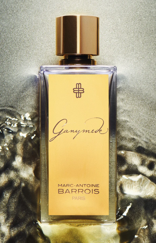 Marc-Antoine Barrois Ganymede